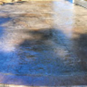 Meet your Posher, Shaun